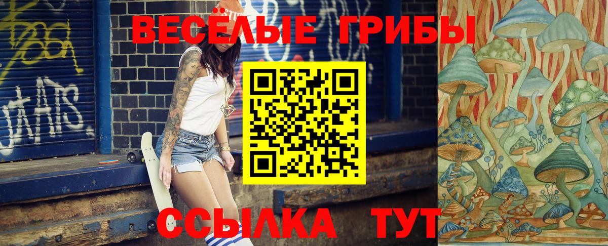 Галлюциногенные грибы GOLDEN TEACHER  Вход с VPN  Сосновый Бор  Галлюциногенные грибы Psilocybe 